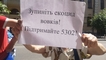
"Эвтаназия для живодеров": зоозащитники требуют запретить дельфинарии и легальные забои
