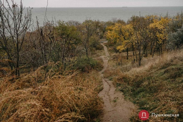 В Одессе хотят построить новую лестницу к морю, ее проект обойдется почти в 1,5 миллиона