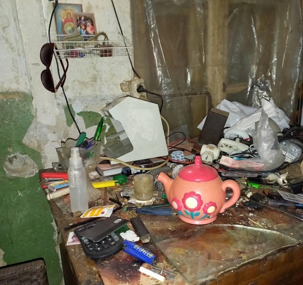 Из дома-свалки в Суворовском районе забрали двух малышек