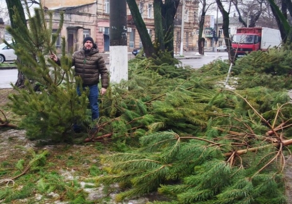 После Нового года в Одессе появились "кладбища елок"