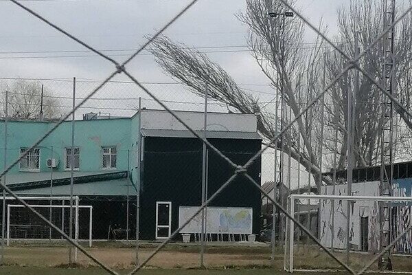 Вчера в Лузановке дерево сгорело изнутри из-за попавшего осколка