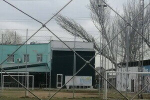 Вчера в Лузановке дерево сгорело изнутри из-за попавшего осколка