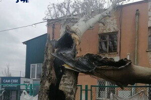 Вчера в Лузановке дерево сгорело изнутри из-за попавшего осколка
