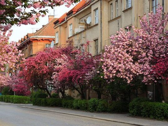 Незважаючи на дощі та заморозки: народний синоптик розповів, коли в Україну прийде справжнє весняне тепло