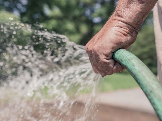 Яблуня любить воду більше, ніж груша, а&nbsp;черешня&nbsp;&mdash; більше, ніж вишня: коли і&nbsp;як&nbsp;правильно поливати дерева в&nbsp;саду