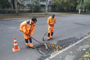 Из-за последствия ночной непогоды в Одессе попадали деревья, а в области пропал свет
