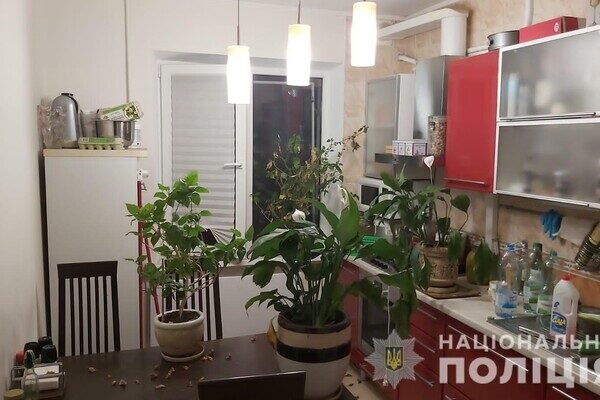 На Балковской поймали домушников 