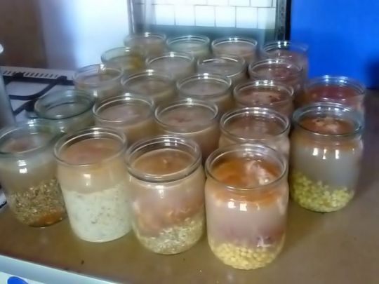 На&nbsp;випадок блекауту буде чим перекусити: м&rsquo;ясні консерви з&nbsp;овочами та&nbsp;рисом