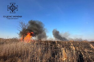 В Суворовском районе Одессы горели поля фильтрации: подробности пожара
