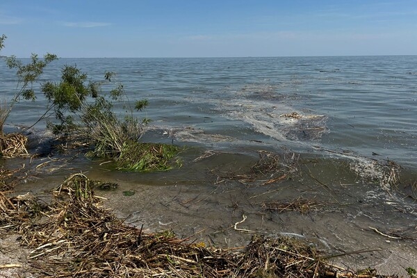 На нескольких пляжах Одессы и Одесской области снизилась соленость воды в Черном море