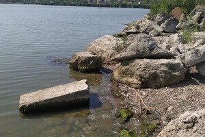 В Одесской области зафиксировали массовый мор креветок и бычков в Хаджибейском лимане