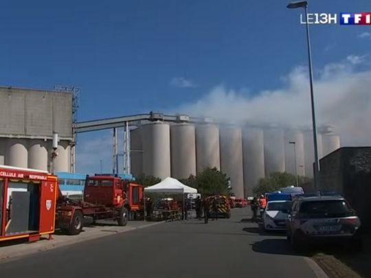 На одному з найбільших у ЄС зерносховищ спалахнула потужна пожежа