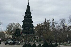 В центре Одессы установили новогоднюю елку (фото, видео)
