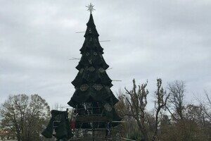 В центре Одессы установили новогоднюю елку (фото, видео)