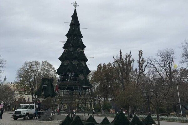 В центре Одессы установили новогоднюю елку (фото, видео)