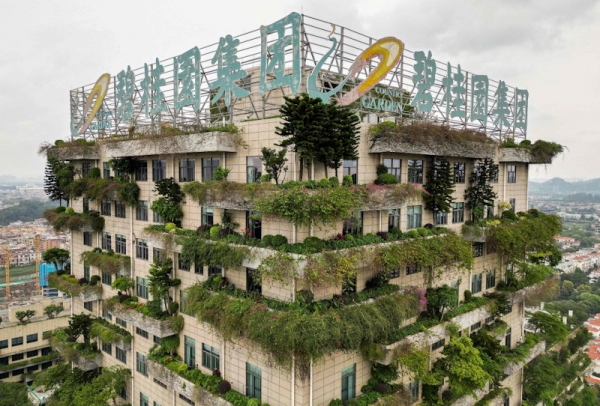 Country Garden: строим долги с любовью, или как не стать следующим Evergrande