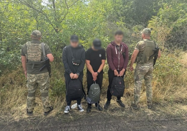 Прятались в подсолнечниках: в Одесской области пограничники задержали нескольких уклонистов
