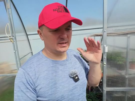 Влаштуйте день відкритих дверей: аграрій з&nbsp;Київщини розповів, як&nbsp;регулювати температуру у&nbsp;розсаднику