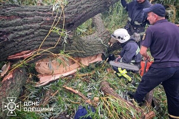 В Одесской области дерево упало на палатку с подростками: есть погибший и пострадавшие В Одесской области дерево упало на палатку с подростками: есть погибший и пострадавшие