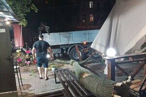 Деревопад, повреждение автомобилей и киоска: последствия ночного ненастья в Одессе