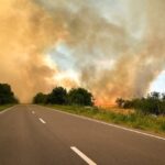 Масштабный пожар в Одесской области привел к усложнению движения: что горит