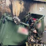 В Одессе пенсионерка уничтожила мусорные баки и повредила гараж с автомобилем: подробности