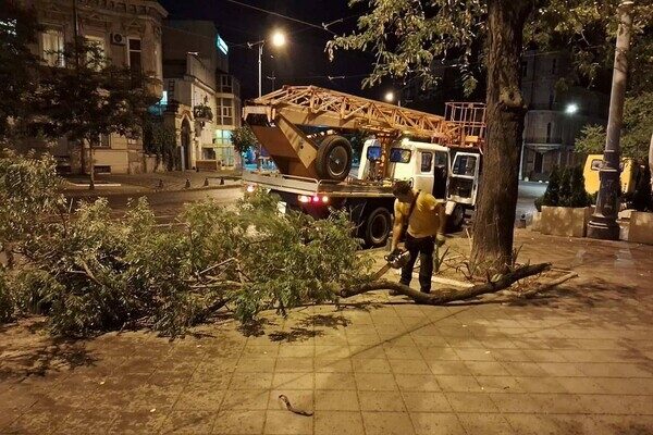 Деревопад, повреждение автомобилей и киоска: последствия ночного ненастья в Одессе