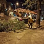 Деревопад, повреждение автомобилей и киоска: последствия ночного ненастья в Одессе