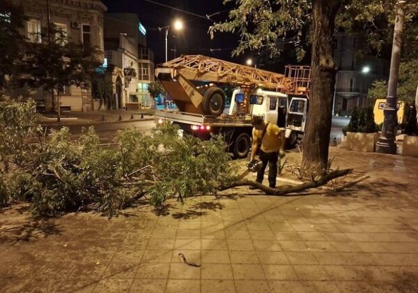 Деревопад, повреждение автомобилей и киоска: последствия ночного ненастья в Одессе