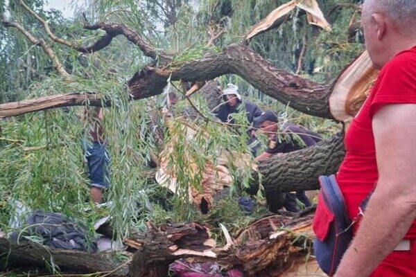 В Одесской области дерево упало на палатку с подростками: есть погибший и пострадавшие В Одесской области дерево упало на палатку с подростками: есть погибший и пострадавшие