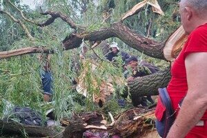 В Одесской области дерево упало на палатку с подростками: есть погибший и пострадавшие В Одесской области дерево упало на палатку с подростками: есть погибший и пострадавшие