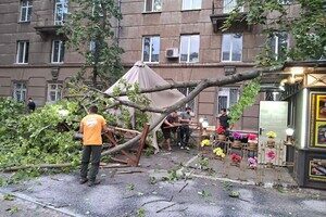 Деревопад, повреждение автомобилей и киоска: последствия ночного ненастья в Одессе