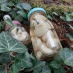 Легкий рецепт маринованого часнику: доповнюйте салати та сирну тарілку