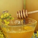 Один з найкращих продуктів для людей похилого віку: цей мед знижує рівень холестерину та захищає кровоносні судини