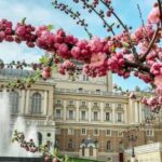 От заморозков до +20 °С: какая погода будет в Одессе на следующей неделе
