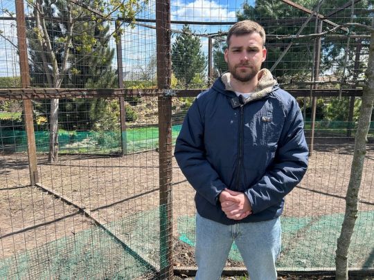 Чупакабра відміняється: тварин у&nbsp;приватному розсаднику в&nbsp;Кременчуці загризла зграя собак