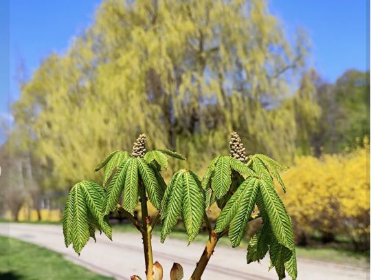 &laquo;Осмілівше тепло&raquo;: заморозки з&nbsp;дощами нарешті відступають з&nbsp;України