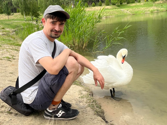 Лебединий дрифт: на&nbsp;Полтавщині зіркою соцмереж став птах, який розганяється по&nbsp;воді, як&nbsp;літак