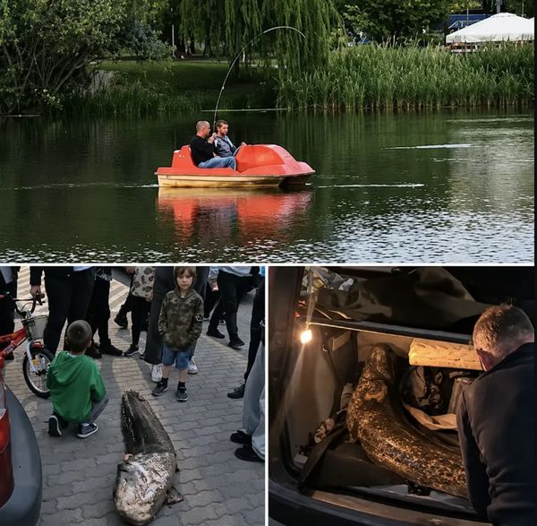 Вдала рибалка у Варшаві обернулася для українця депортацією з Польщі: у чому звинуватили рибалки (фото)